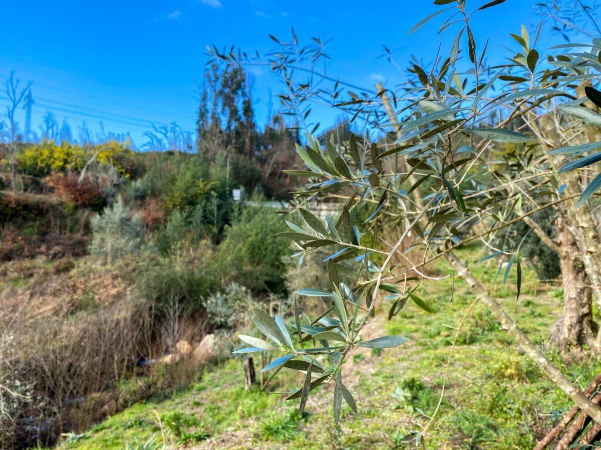 Apartmán Encosta Do Sol Canas de Senhorim Exteriér fotografie