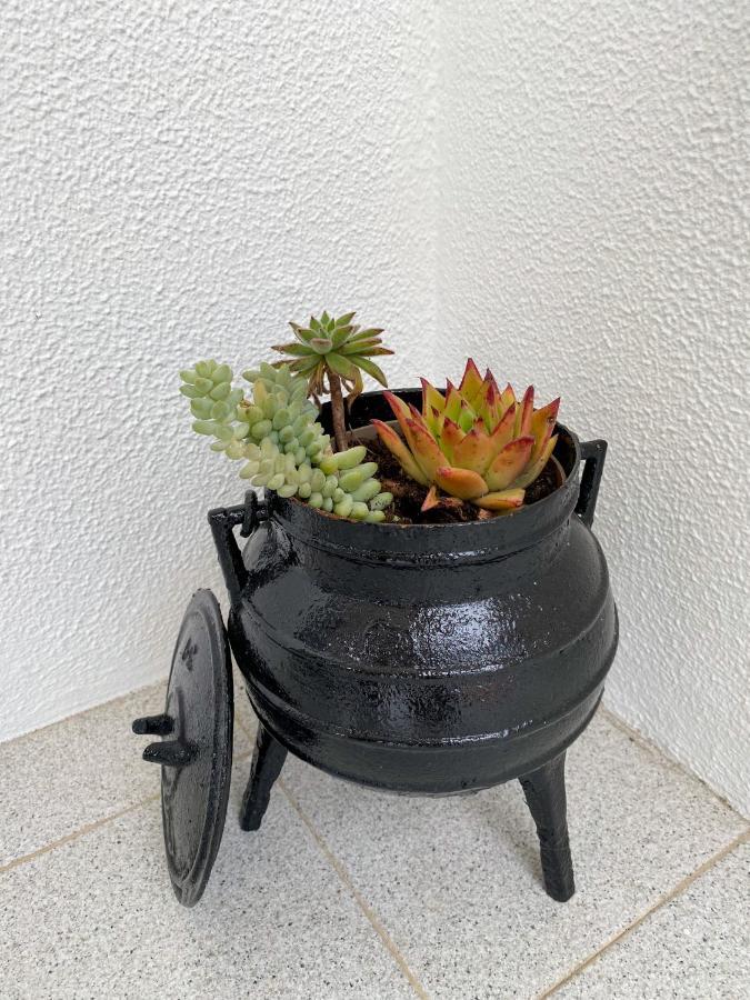 Apartmán Encosta Do Sol Canas de Senhorim Exteriér fotografie